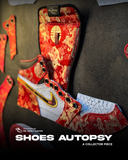Mr. Simply Lab - Shoes Autopsy (year of snake)
